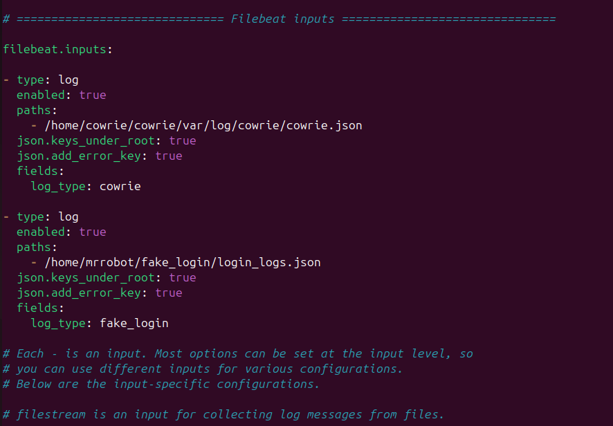 Filebeat configuration showing log inputs