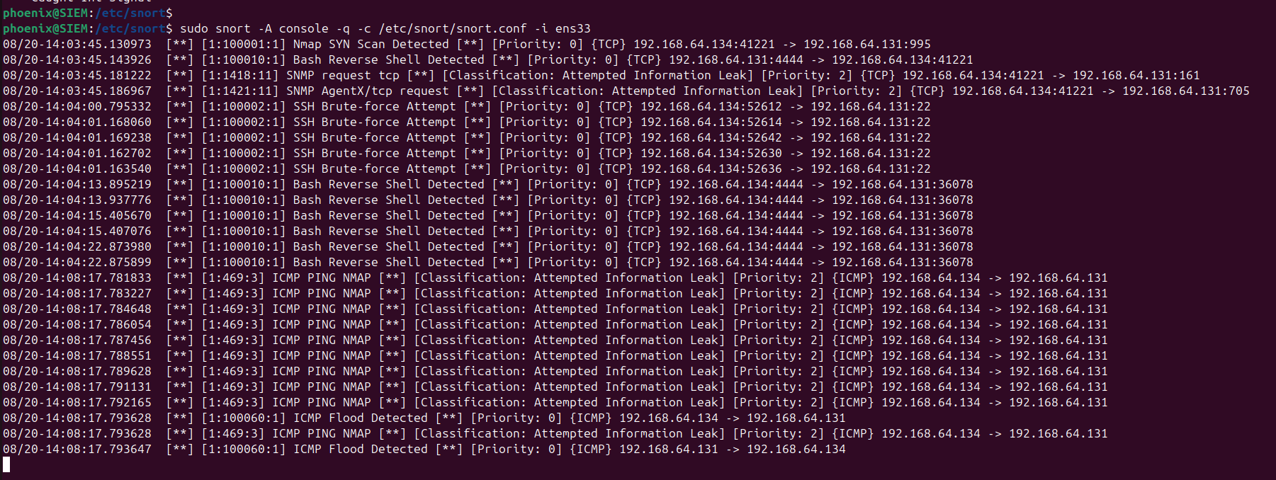 Snort alert view confirming detections